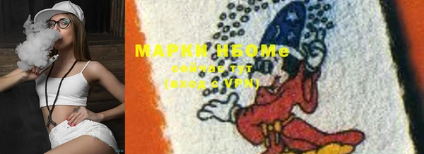 МДПВ Нея