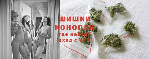 МДПВ Нея