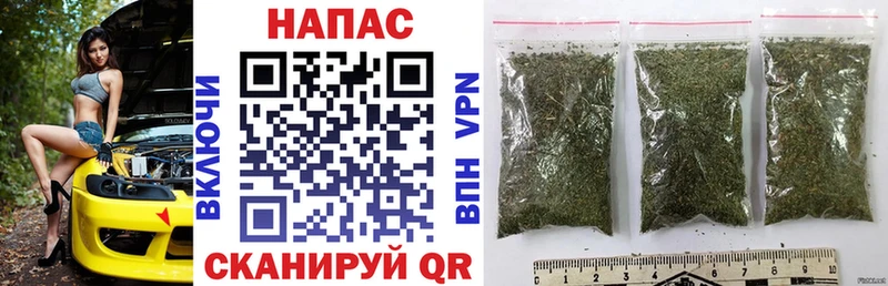 Конопля план  наркошоп  Электроугли 